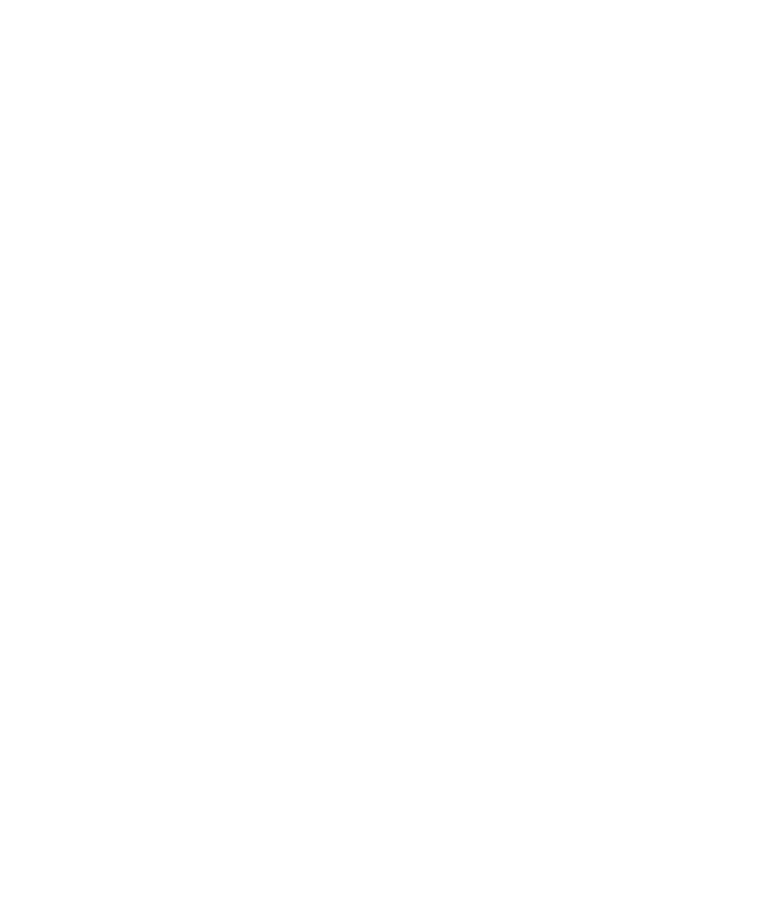 پیتزاس